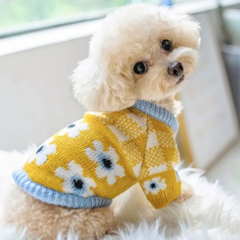 Autumn Winter Dog Sweater for Pets and Cats
