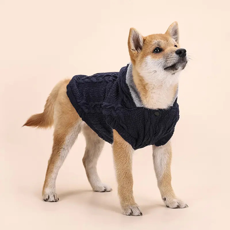 Warm Wool Velvet Dog Clothes for Small & Medium Breeds