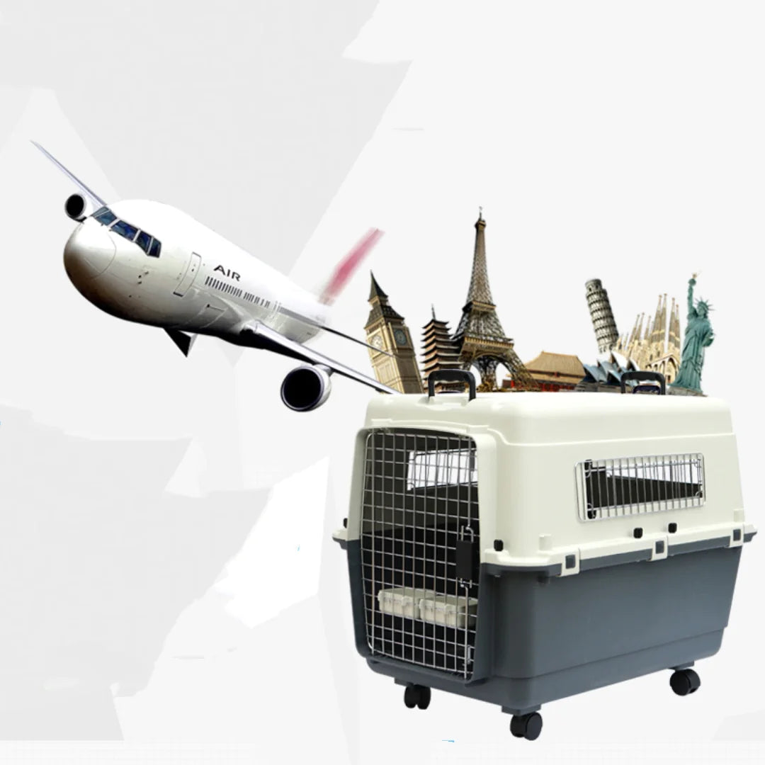 Pet Air Travel Box