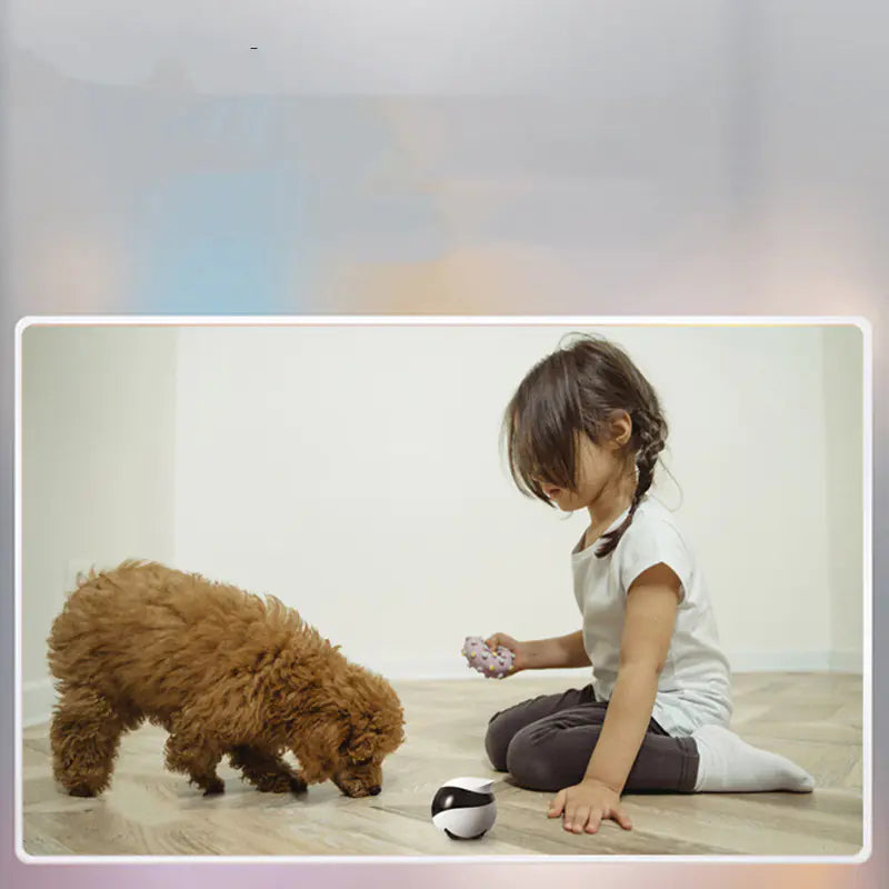 Smart Pet Robot Camera