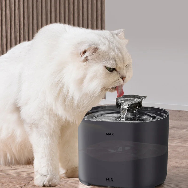 Cat Water Fountains