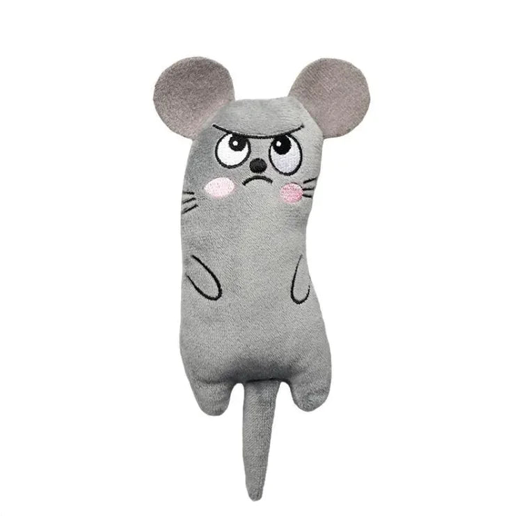 Cat Toys