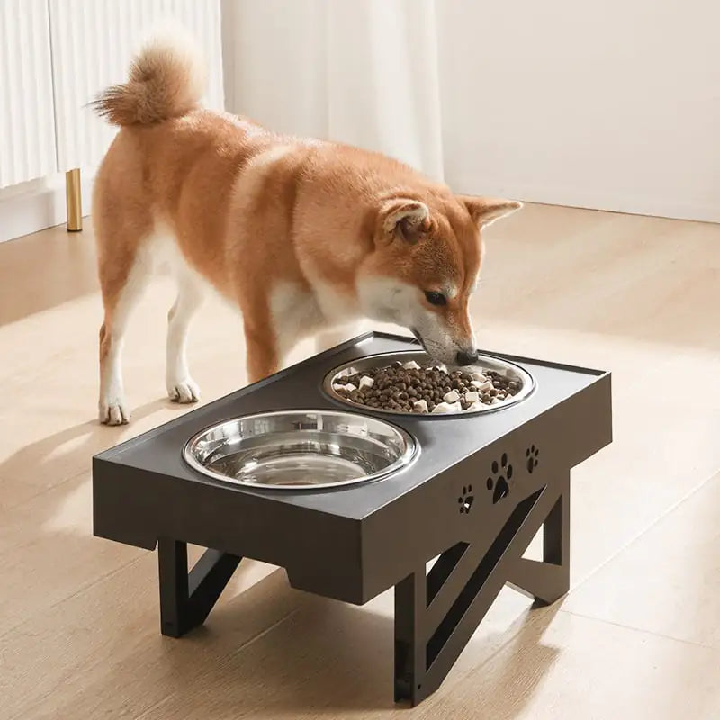 Dog Bowls & Feeders