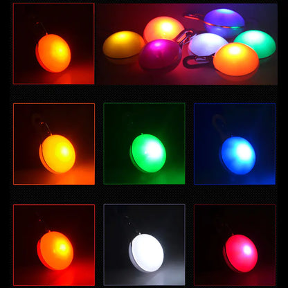 LED Pet Pendant with Glow-in-the-Dark Dog Tag