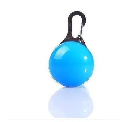LED Pet Pendant with Glow-in-the-Dark Dog Tag