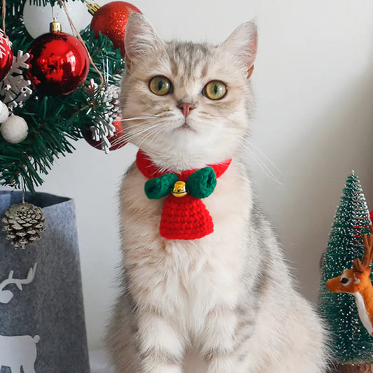 Winter Dog Scarf and Cat Hat Bib Jewelry Set