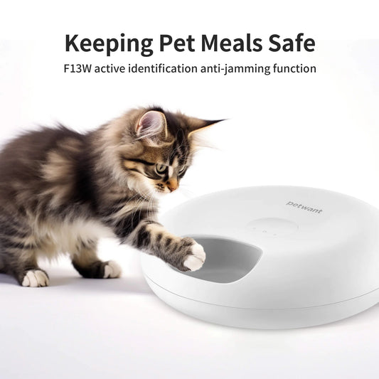 Smart WiFi 6-Meal Automatic Cat & Dog Feeder with App Control and Ice Packs