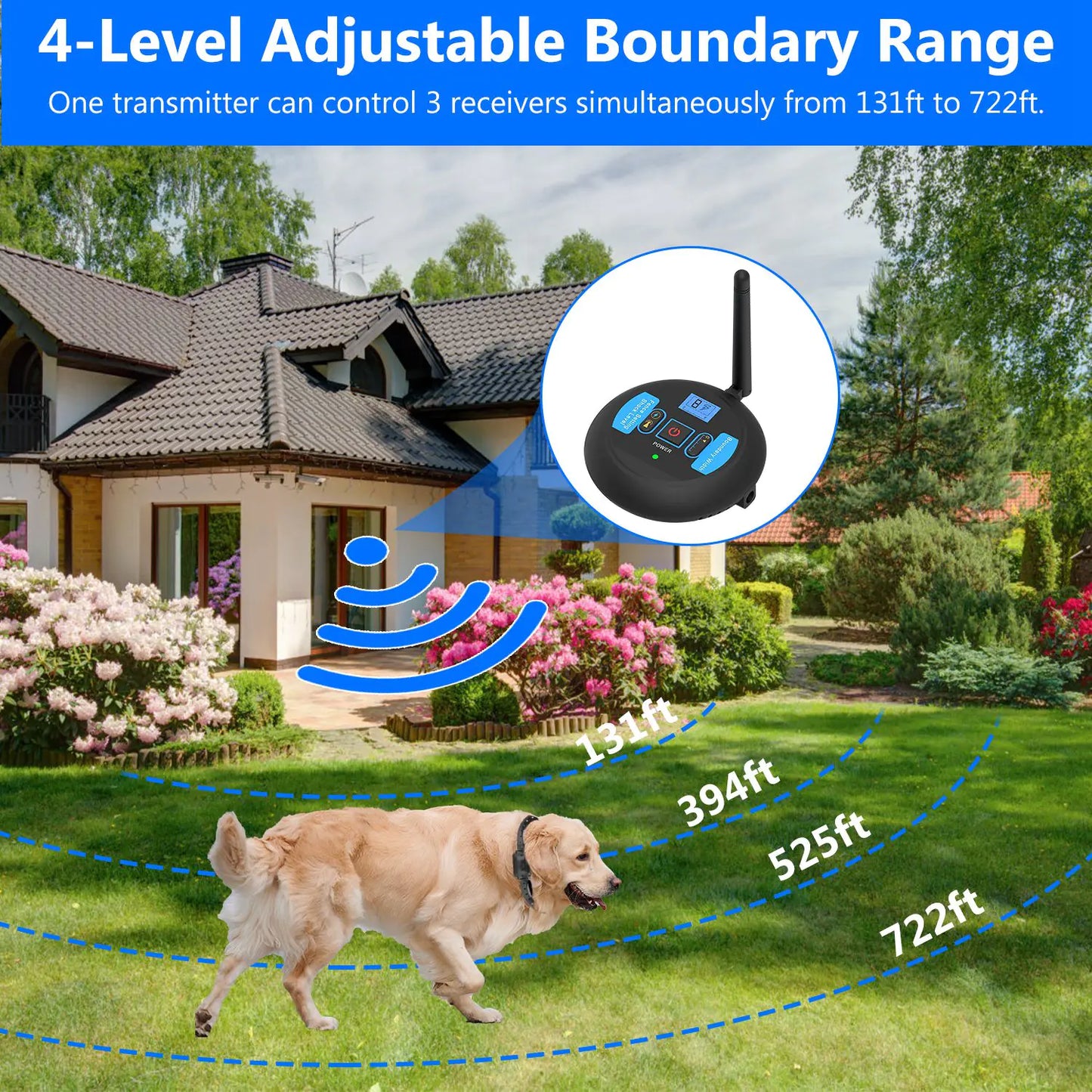 Dog Fence System