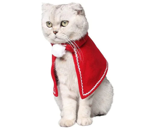 Winter Dog Scarf and Cat Hat Bib Jewelry Set