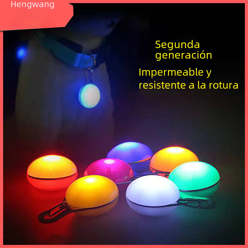 LED Pet Pendant with Glow-in-the-Dark Dog Tag