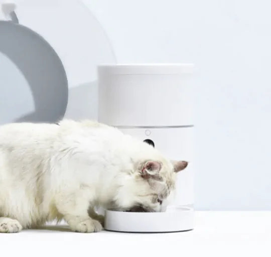 Cat Feeder With Camera
