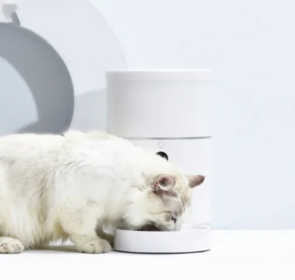 Cat Feeder With Camera