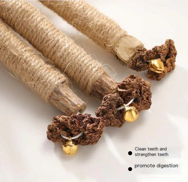 New Cat Dental Chew Toys with Insect Galls and Wood