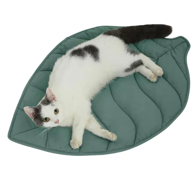 Leaf-Shaped Double-Sided Cat & Dog Floor Mattress Bed
