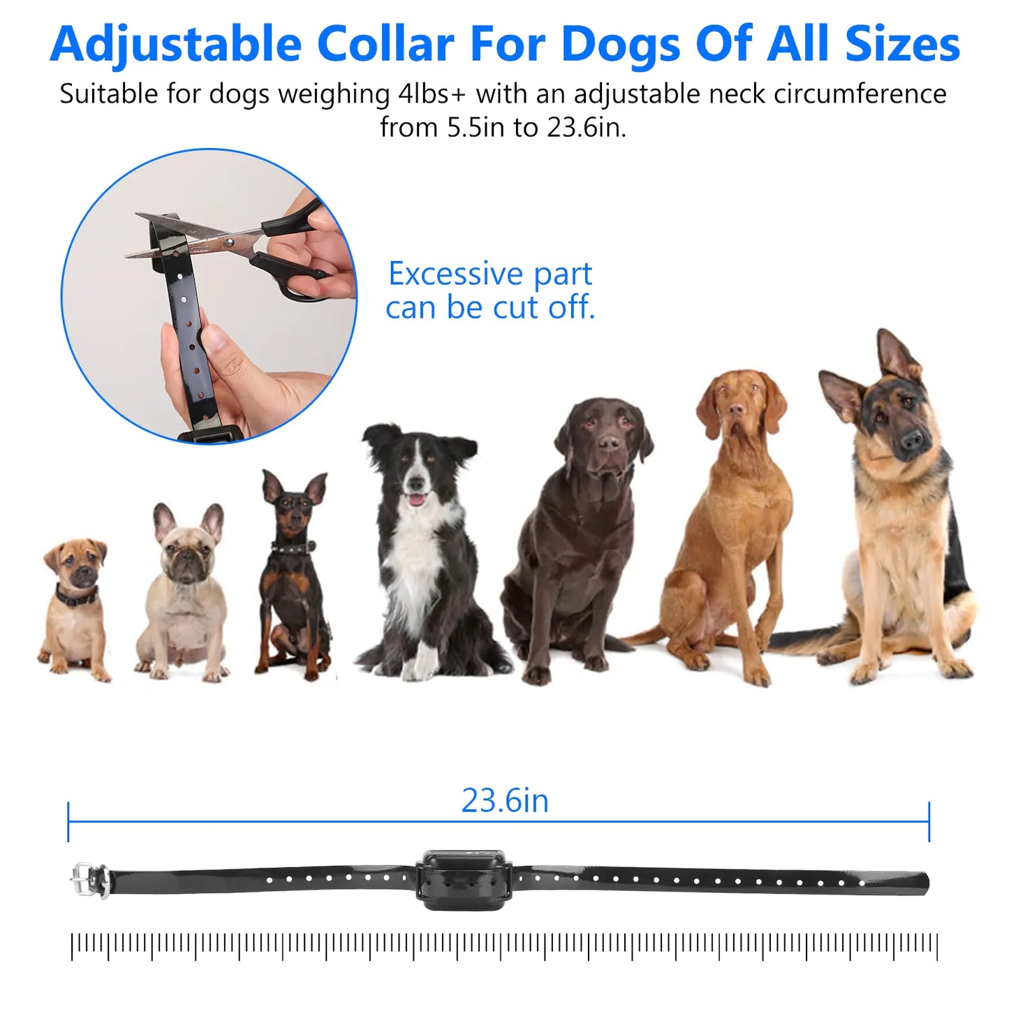 Dog Fence System