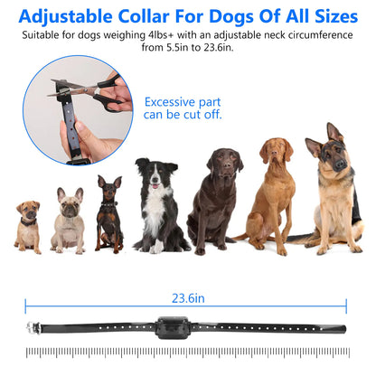Dog Fence System