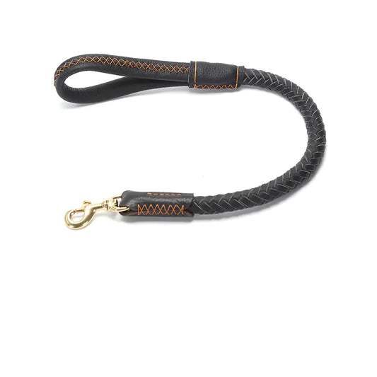 Leather Dog Leash for Medium and Large Breeds