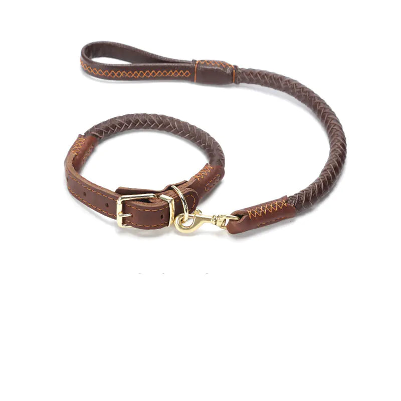 Leather Dog Leash for Medium and Large Breeds