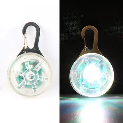 LED Pet Pendant with Glow-in-the-Dark Dog Tag