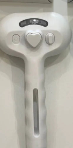 Chevaroo 3-in-1 Self-Cleaning Steam Pet Brush