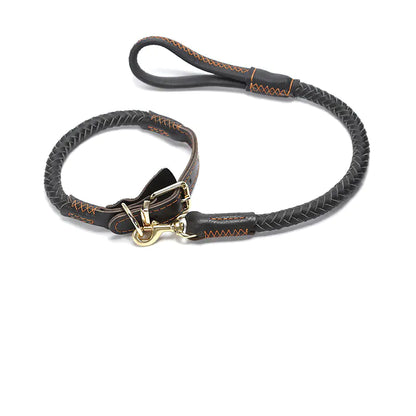 Leather Dog Leash for Medium and Large Breeds