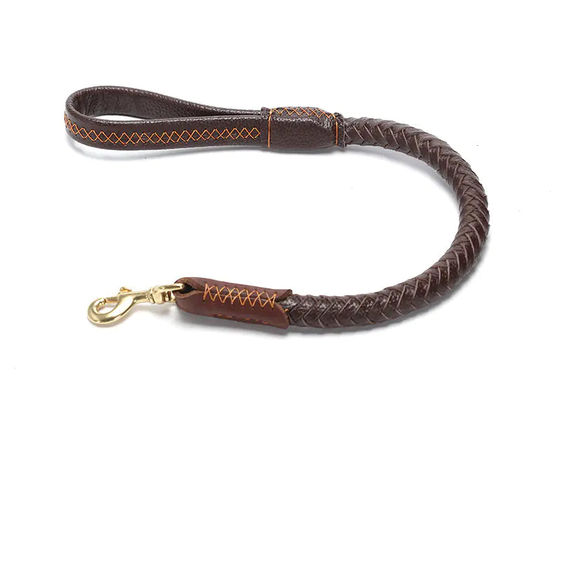 Leather Dog Leash for Medium and Large Breeds