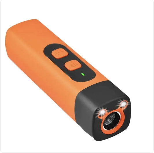 Mini Pet Training Torch
