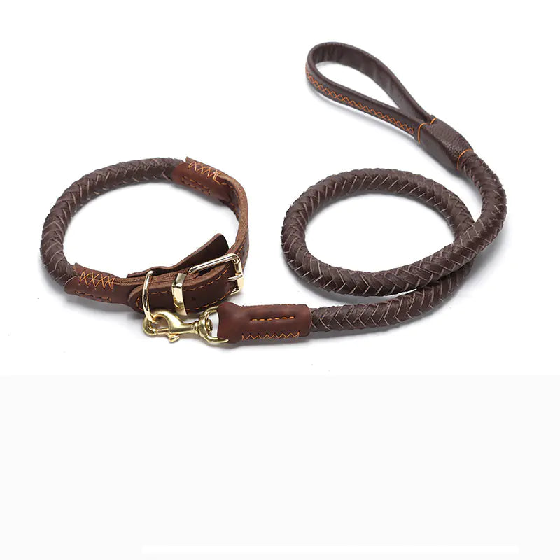 Leather Dog Leash for Medium and Large Breeds