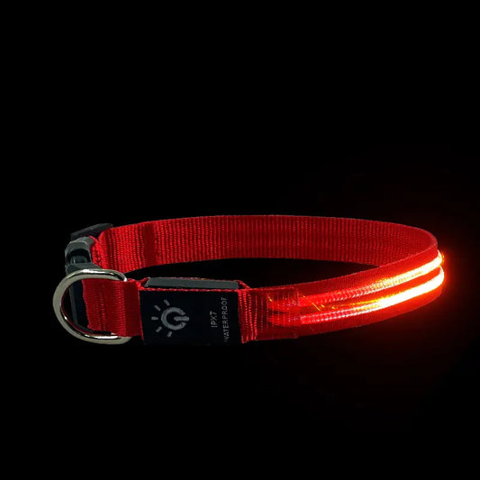 LED Waterproof Night Pet Collar with Lighting