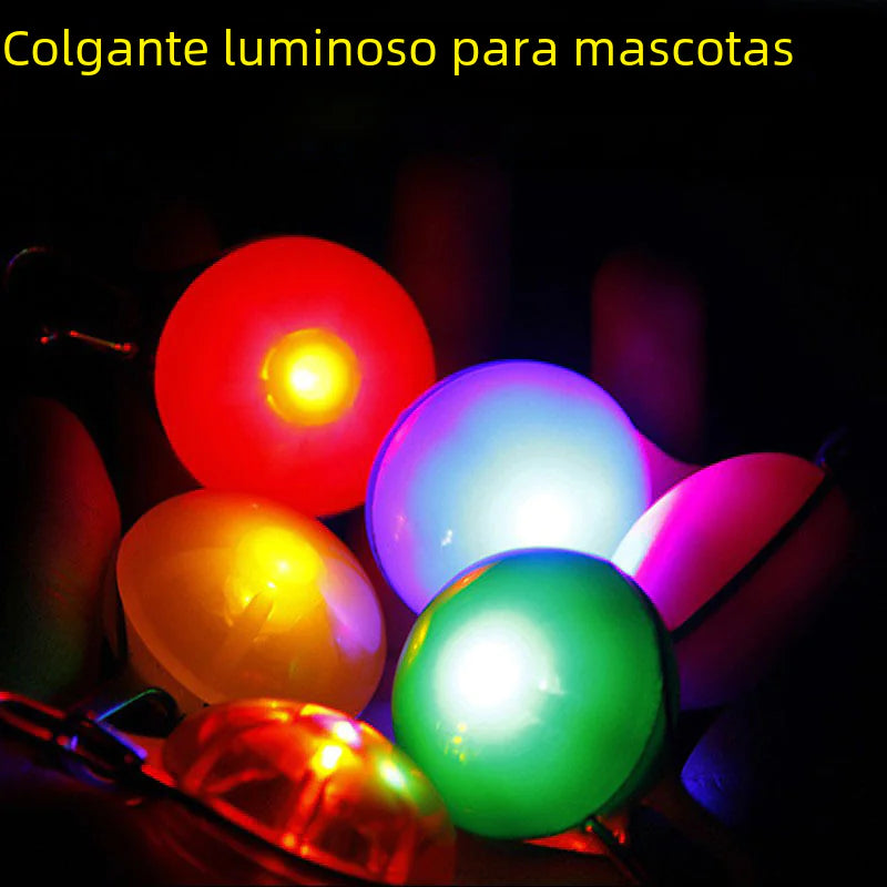 LED Pet Pendant with Glow-in-the-Dark Dog Tag