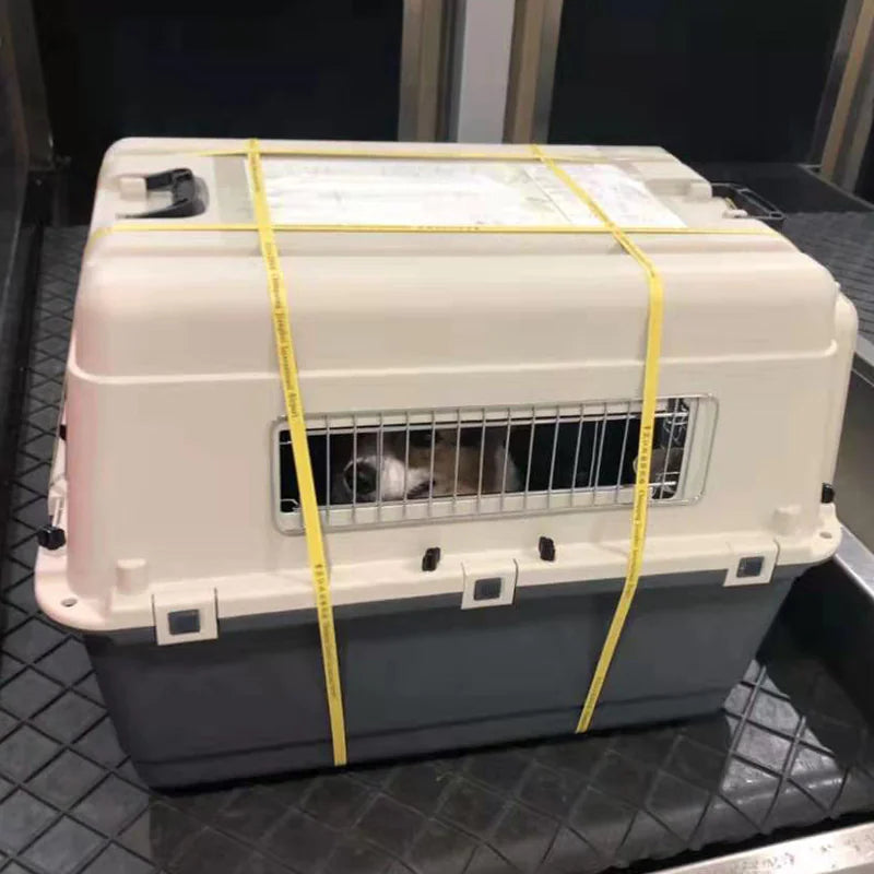 Pet Air Travel Box