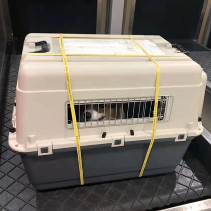 Pet Air Travel Box